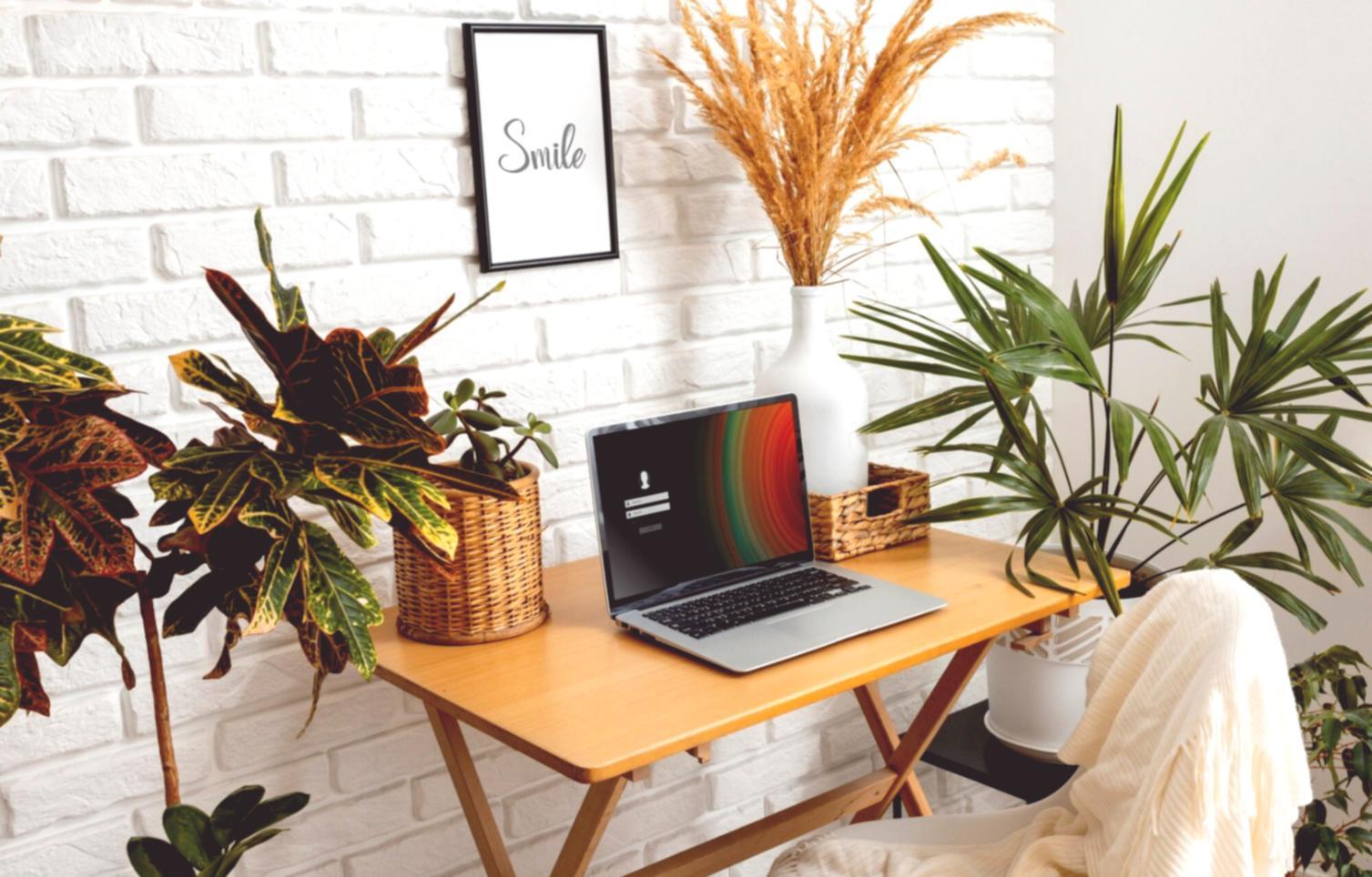 Collaborative workspace showing career planning tools and resources